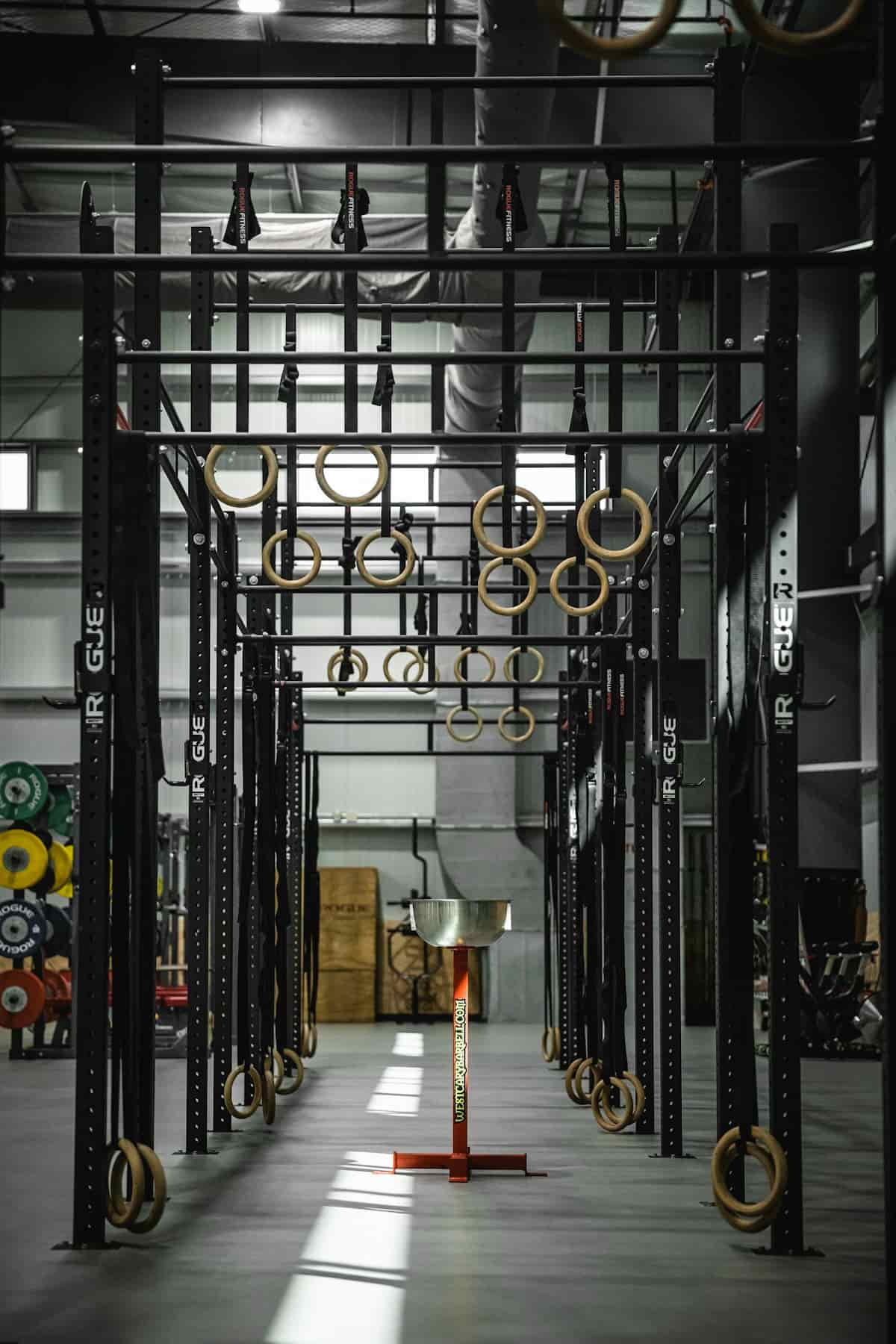 Argoos - OlympiaFit background